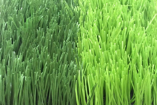 Những yếu tố quan trọng khi lựa chọn nhà cung cấp cỏ nhân tạo