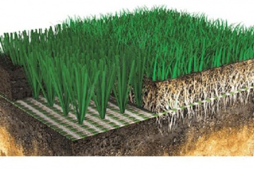 Hệ thống cỏ hỗn hợp hybrid - sự lựa chọn hoàn hảo cho sân cỏ cao cấp
