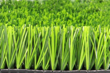 Những điểm cần lưu ý khi sử dụng cỏ nhân tạo trong thi công sân trường học